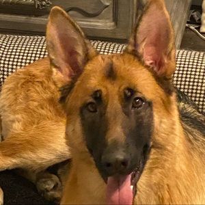 Meet your Posher, Tom